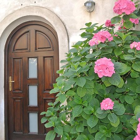 B&B Casa Antonia Trentinara Экстерьер фото