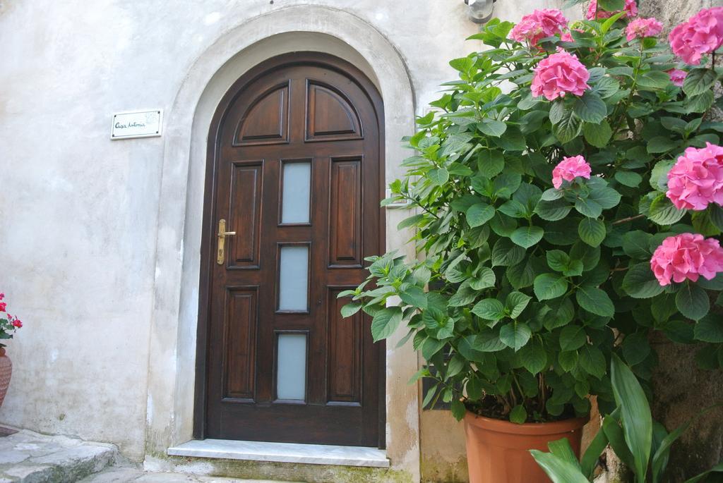 B&B Casa Antonia Trentinara Экстерьер фото